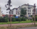 ankor carzadzanie nieruchomosciami4