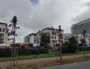 ankor carzadzanie nieruchomosciami6